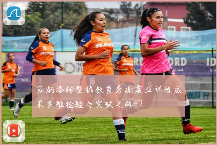 苏炳添转型执教首秀谢震业训练成果多维检验与突破之路
